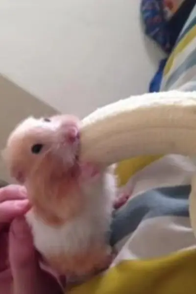 Call Girls In Noida Sector-27 =(9953331503) VIP Escort