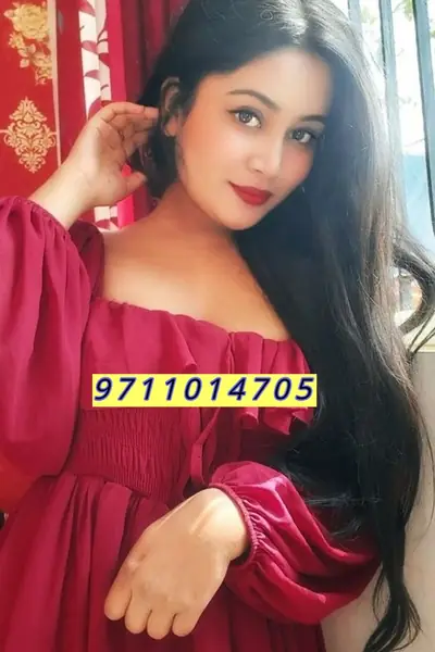 Call Girls in New Friends Colony Delhi §╬9711014705╬§ EscorTs ServiCe — image 2
